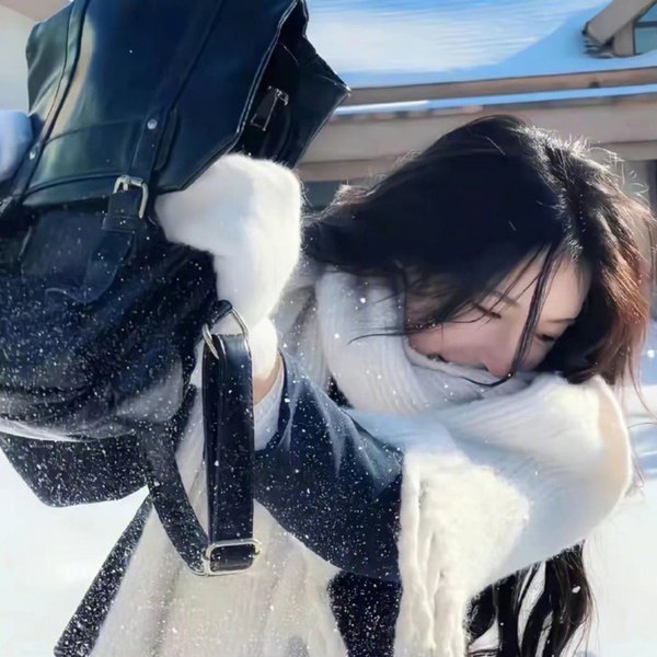 爱情合众国封面