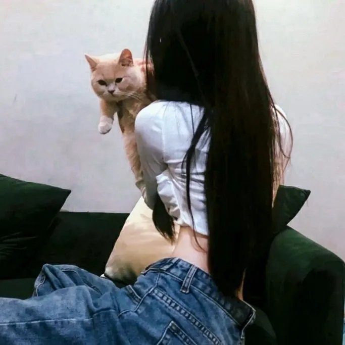 婚礼约会封面