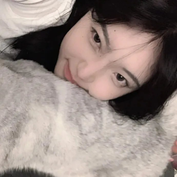 杀妻秘笈封面